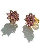 Smoky Topaz Earrings Studs