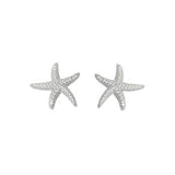 Starfish Earrings Starfish Studs
